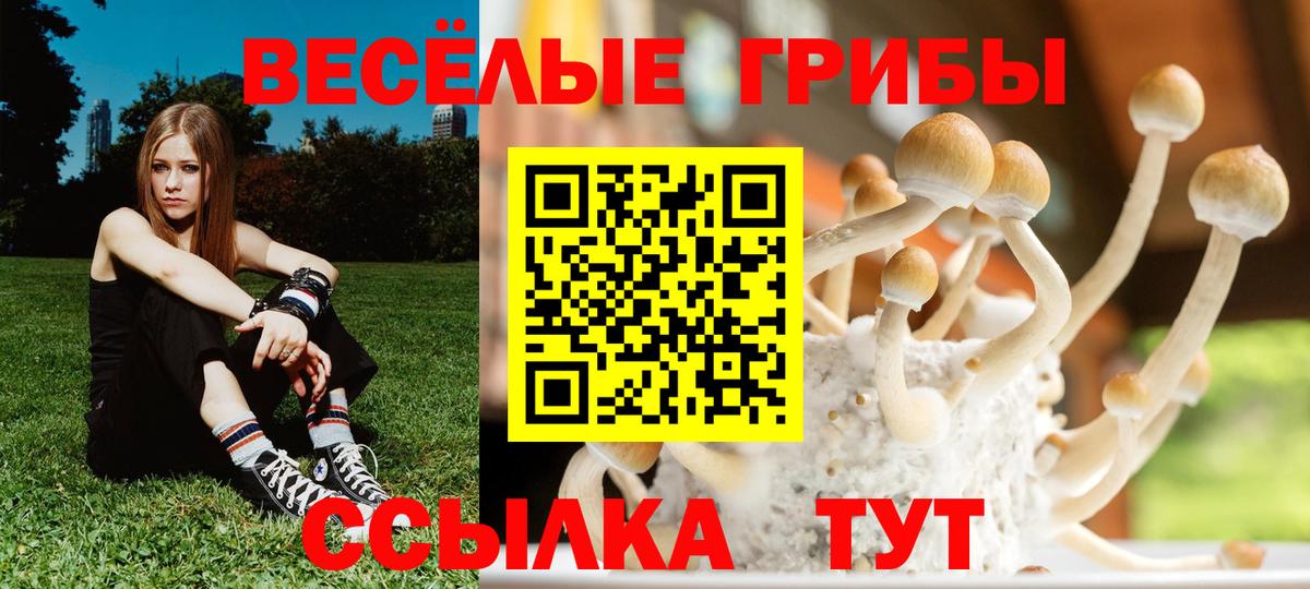 Псилоцибиновые грибы MAGIC MUSHROOMS  Вход с VPN  Псилоцибиновые грибы Psilocybe  Златоуст 